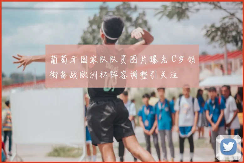 葡萄牙国家队队员图片曝光 C罗领衔备战欧洲杯阵容调整引关注