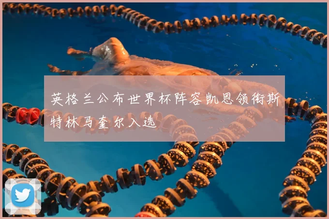 英格兰公布世界杯阵容凯恩领衔斯特林马奎尔入选