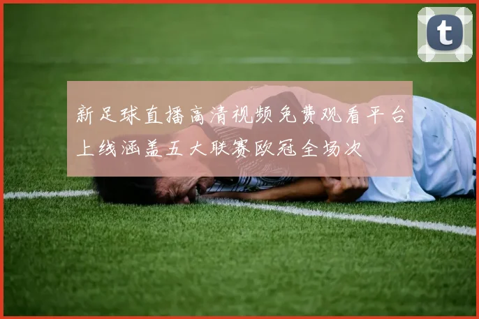 新足球直播高清视频免费观看平台上线涵盖五大联赛欧冠全场次