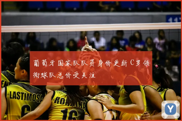 葡萄牙国家队队员身价更新 C罗领衔球队总价受关注