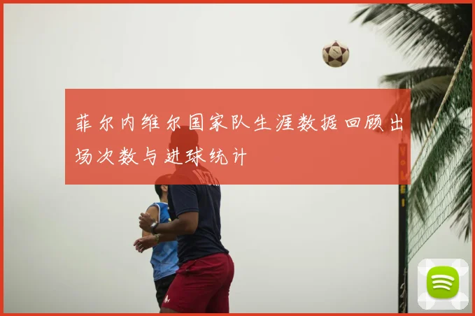 菲尔内维尔国家队生涯数据回顾出场次数与进球统计