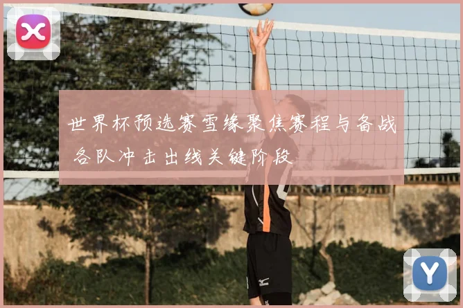 世界杯预选赛雪缘聚焦赛程与备战 各队冲击出线关键阶段