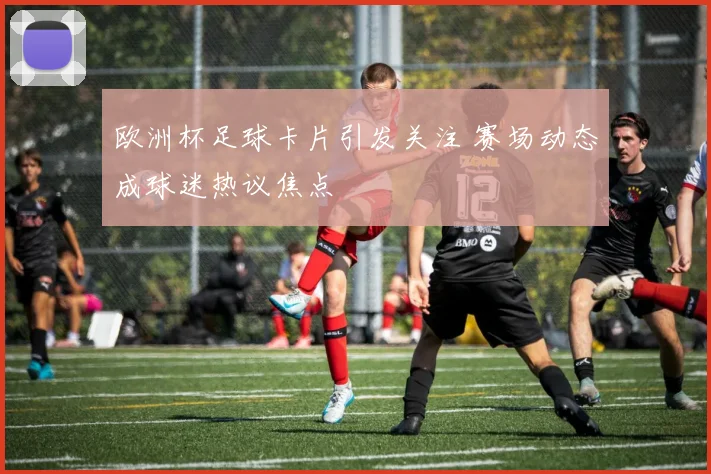 欧洲杯足球卡片引发关注 赛场动态成球迷热议焦点